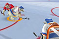 Polar Hockey
